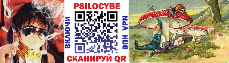 Псилоцибиновые грибы GOLDEN TEACHER  блэк спрут ссылки  Славск  как найти наркотики 